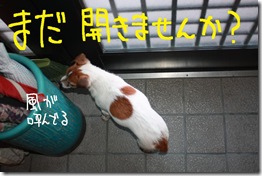 今日カズ１００１３０　１