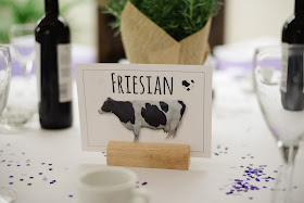 cow wedding