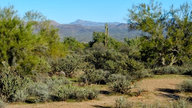 DSCN0028