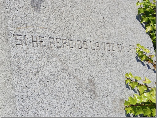 IMGP0487