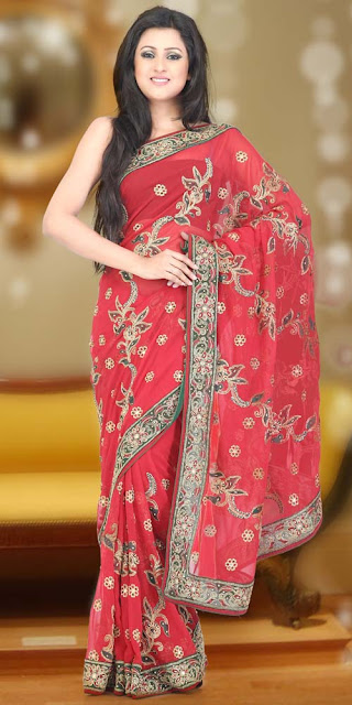 Wedding-Party-Wear-Saree 2013-14