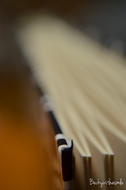 2013-03-21 2013-03-21 Close-up 007