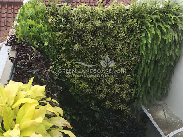 Jasa Pembuatan Vertical Garden Luwu Timur - Tukang Taman Vertikal Profesional Jasa Pembuatan Vertical Garden Luwu Timur - Tukang Taman Vertikal Profesional