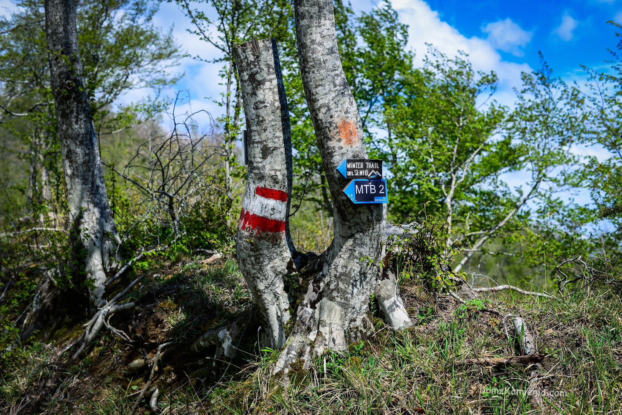 Dom z Kamienia blog o życiu w Toskanii, trekking, Marradi