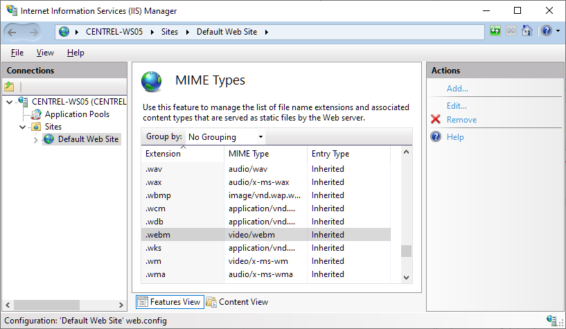 Screenshot of adding a MIME type in IIS