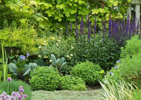 The Designer's Muse: Formal Garden in Connecticut