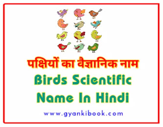 Scientific Name Of Birds In Hindi