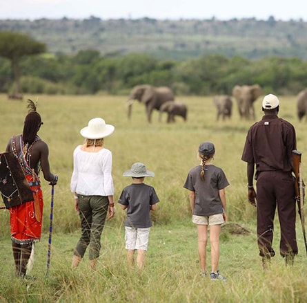 http://wildrootsafaris.com/tours-safaris/