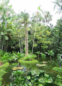 Singapore Botanic Gardens