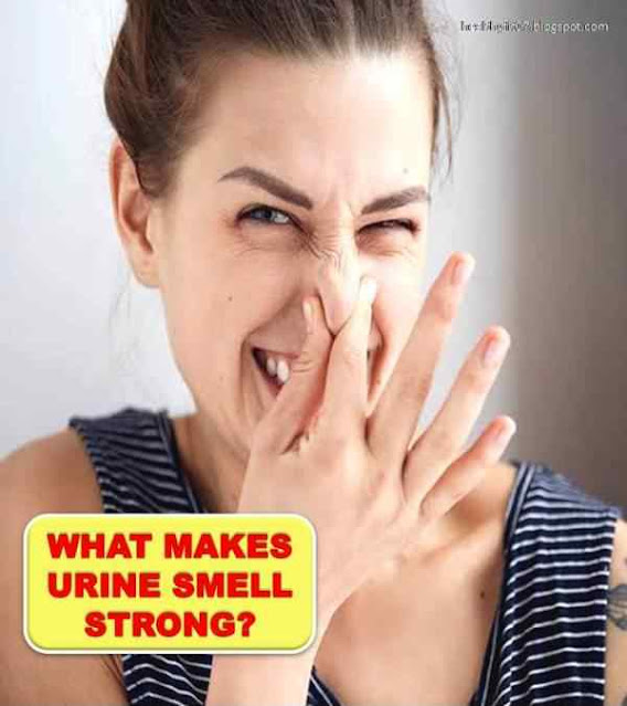 What Makes Urine Smell Strong or Foul