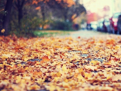 Autumn Season Standard Resolution Wallpaper 34