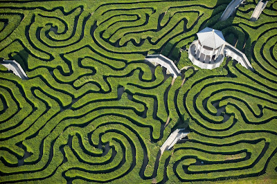 Maze at Longleat England Pictures 