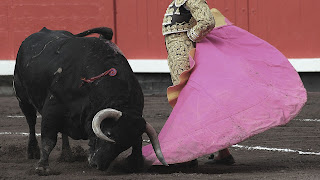 Toros para fondo de pantalla 1920x1080,toros bravos,toros bravos watches,toros bravos jaripeo,toros bravos de espana,toros bravos 2016,toros bravos texans,de toros salvajes,de toros de reparo