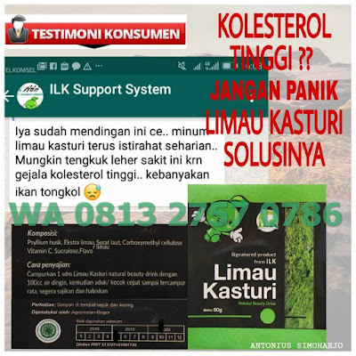 √ Gambar Limau Kasturi ⭐ Bisnis MLM Baru ✅ Bisnis Online