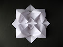 Origami foto Fiore bombato - Curved flower by Francesco Guarnieri