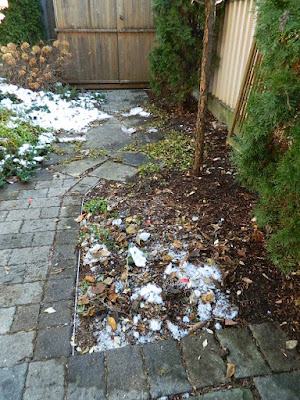 Toronto St. Clair West Village Fall Backyard Cleanup After by Paul Jung Gardening Services--a Toronto Organic Gardening Company