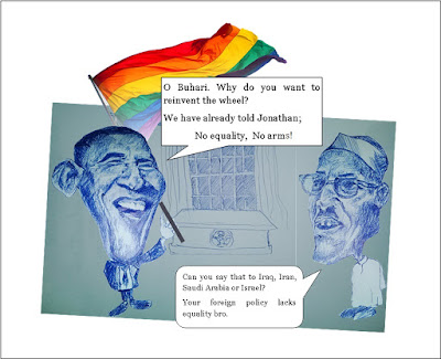 obama african gay right, buhari us refuse to sell arms, nigerian cartoon