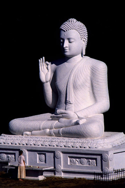 Los 53 Sutras de Sidharta Gautama Buda Los Sutras, 