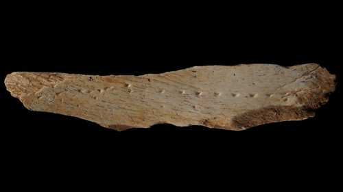 фрагмент проколотой кости животного возрастом почти 40 000 лет (показан), найденный в Испании, представлял собой перфорированную доску с отверстиями от проколотой шкуры животного