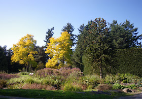 Alma Area in October at Vandusen Garden