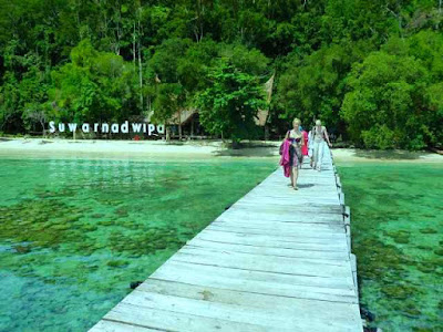 Pulau Swarnadwipa Adalah Sebutan Untuk Pulau Coba Sebutkan