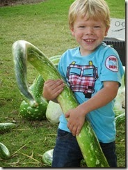 16 mo..aubris adoption 038