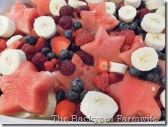 The Backyard Farmwife- 4th of July treats