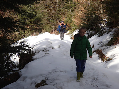 Rezerwat biała Woda, Szczawnica, ciekawe szlaki turystyczne w Szczawnicy, grzyby 2018, grzyby w marcu