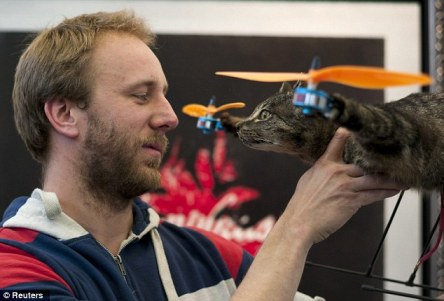 Orvillecopter kucing tterbang unik