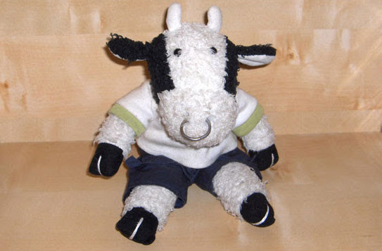 Bully, a little stuffed bull