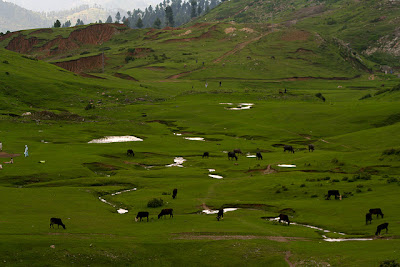 Valley-Swat-Pakistan-1