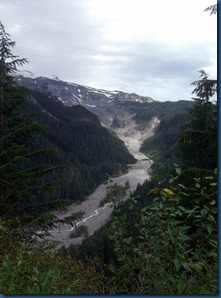 Mt. Rainier (20)