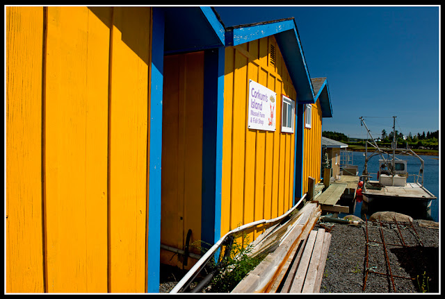 Nova Scotia; Corkum Island; Seafood; Mussels