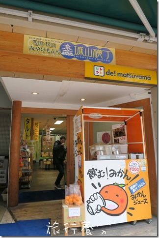 松山萬翠莊 摩天輪 (17)
