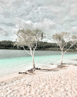 Sitting Relax On Fraser Island Australia