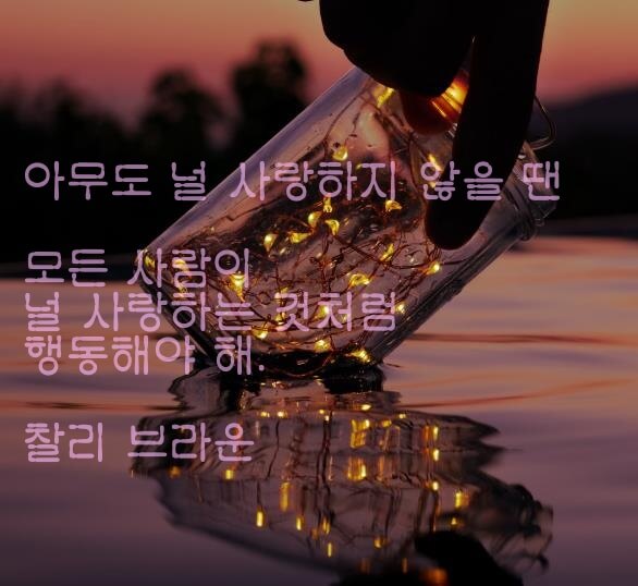 사랑에-관해-찰리-브라운