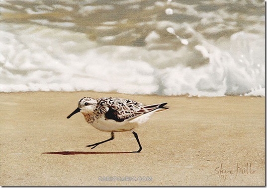 Pintura realista (8)