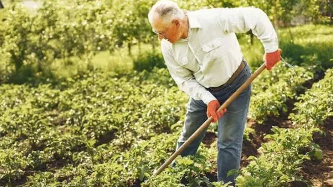 Scientists Warn That SOIL Is Suddenly Causing ‘Killer Heart Disease’