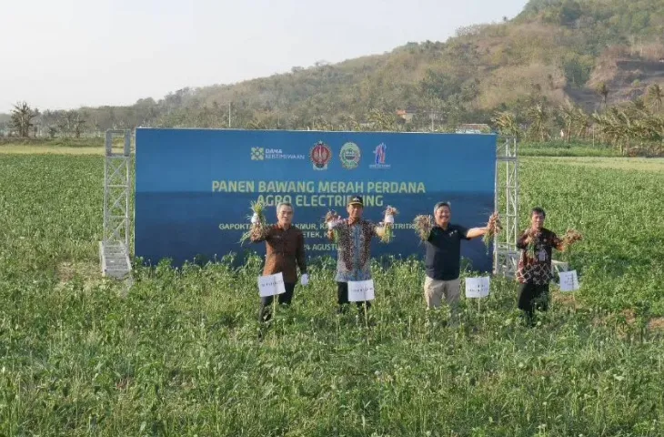 Bantul Panen Perdana Bawang Merah Agro Electrifying