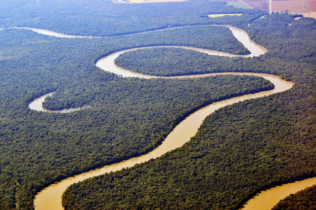 Типична большая болотистая река