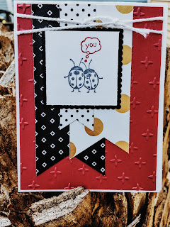 Lady bug card made with Stampin' Up! Love you Lots and Pop of Pink DSP