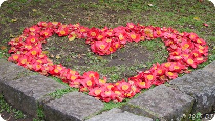 Heartful of Flowers