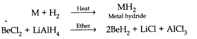 s block ncert pdf