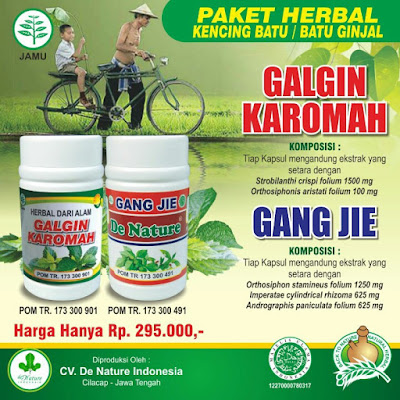 obat kencing batu,obat batu ginjal,cara menghilangkan kencing batu,obat penghancur batu ginjal