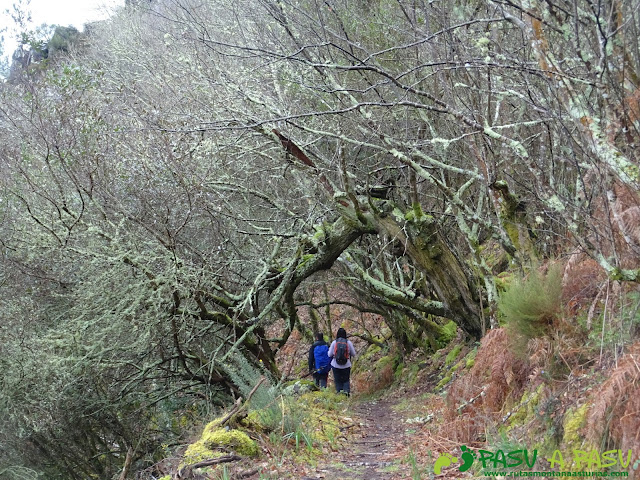 Naturaleza salvaje en Boal