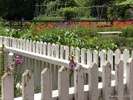 Colonial Garden