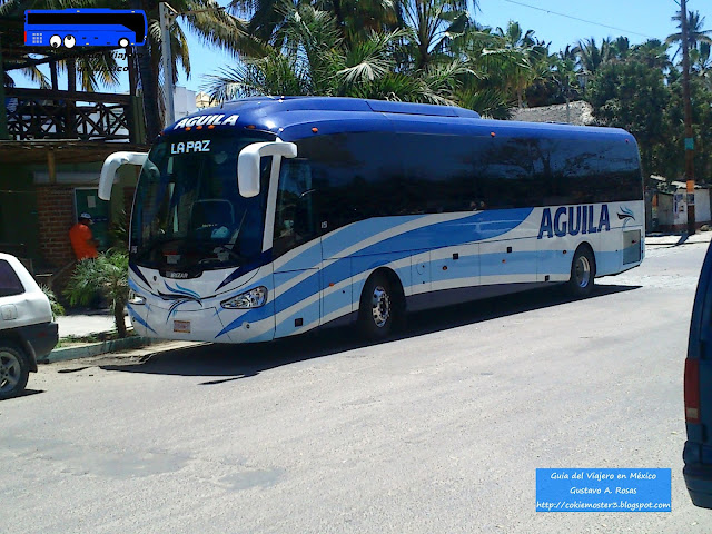 Autobuses Aguila