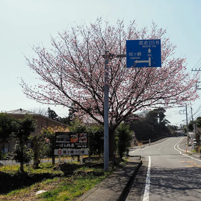 城ヶ島