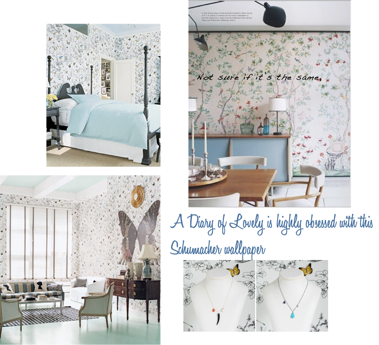 Diary of Lovely: Obsessions 5: Schumacher bird wallpaper