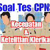 Contoh Soal Cpns Soal Pigural / Kumpulan Soal Latihan Ujian Penerimaan CPNS / Laksamana takeo soal cat cpns no.